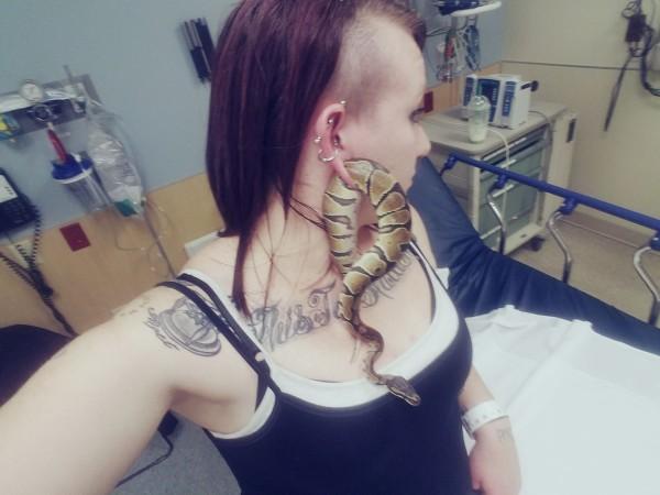 Pet snake stuck in woman's earlobe Python