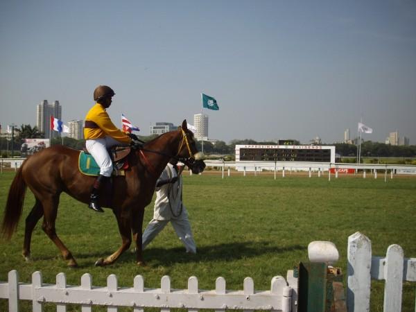 Mahalaxmi Race Course horse racing, mahalaxmi race course