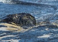 Oil Spill
