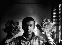tree man illness, health, disease,