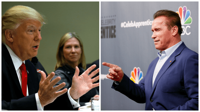 donald trump, arnold schwarzenegger, wwe