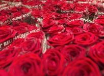 valentine's day, valentine's day 2017, roses, rose exporters, valentine's day greetings, valentine's day messages, india flower exports, hosur, columbia, trump protectionism