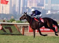 horse racing, mahalaxmi race course
