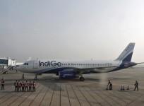 IndiGo