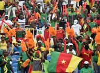 Cameroonians celebrate after Indomitable Lions win African Nations Cup title