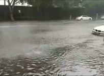 Flash floods hit Sydney after torrential rain