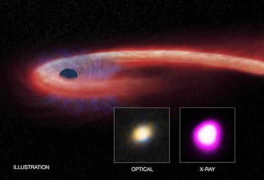 Artist's illustration depicts what astronomers call a NASA, black hole, star, TDE