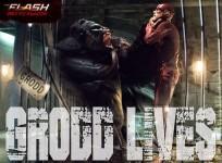 the flash