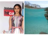 Bollywood news