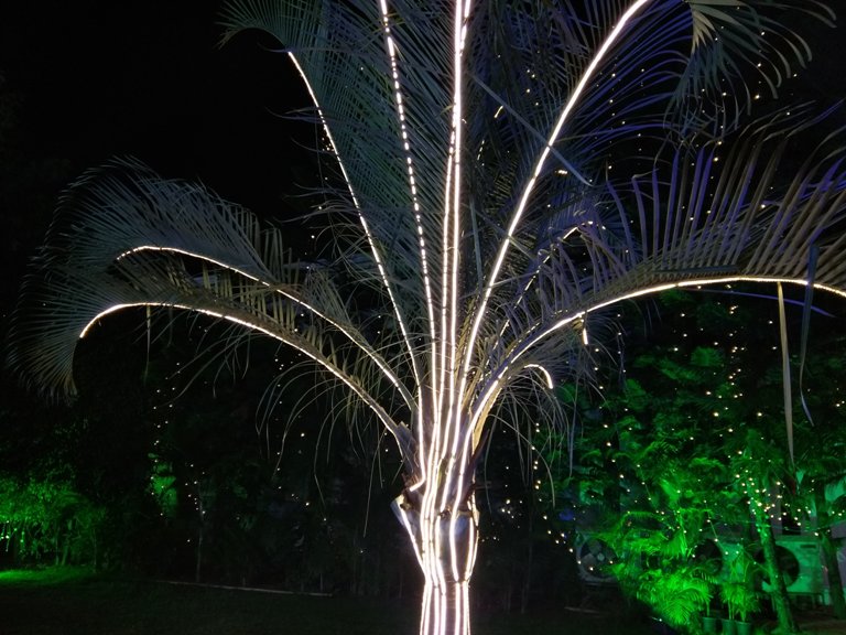 Coolpad Cool 1 Dual Review