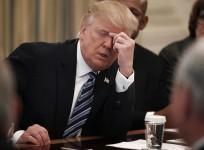 Donald Trump calls travel ban court ruling a political decision