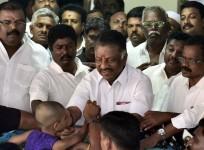 Panneerselvam