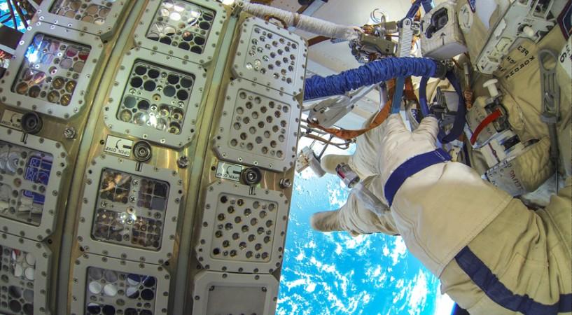 The many different organisms from all participating partners were all mounted in such trays and then exposed to space on the outside of the ISS for one and a half years. ISS, nasa, microbes, algae,