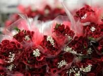 Valentine's Day 2017, Happy Valentine's Day, Happy V-day
