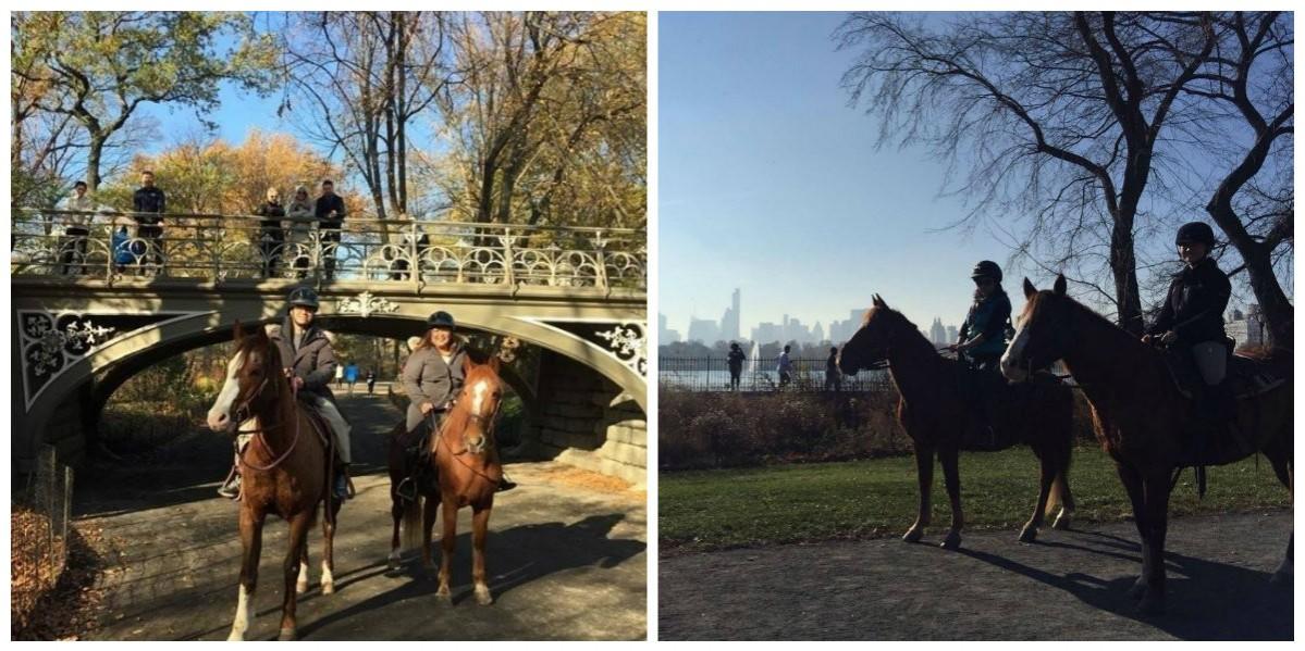 Horse riding at Central Park Central Park