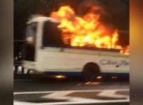 Bus bursts into flames on Japanese motorway
