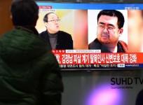 North Korean leader's brother