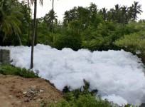 bellandur lake, lakes in bangalore