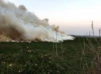 Bellandur Lake catch fire in Bengaluru