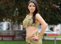 Hansika Motwani Molested