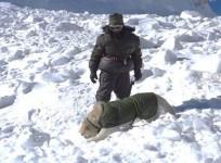 Indian Army Avalanch Rescue Operation Dogs