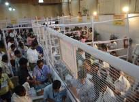 BMC Elections