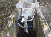 snake trackers from tamil nadu, florida pythons