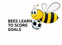 Scientists train bumblebees to score goals with tiny footballs for treats