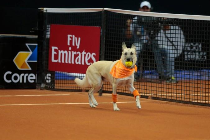 Brazil Open