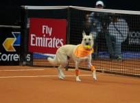 Brazil Open