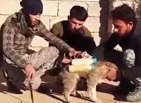 ISIS