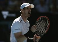 Andy Murray, Andy Murray news, 2017 Australian Open, Dubai Duty Free Tennis Championships, Novak Djokovic, tennis news