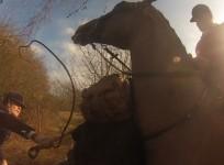 Hunt master whips campaigner with riding crop