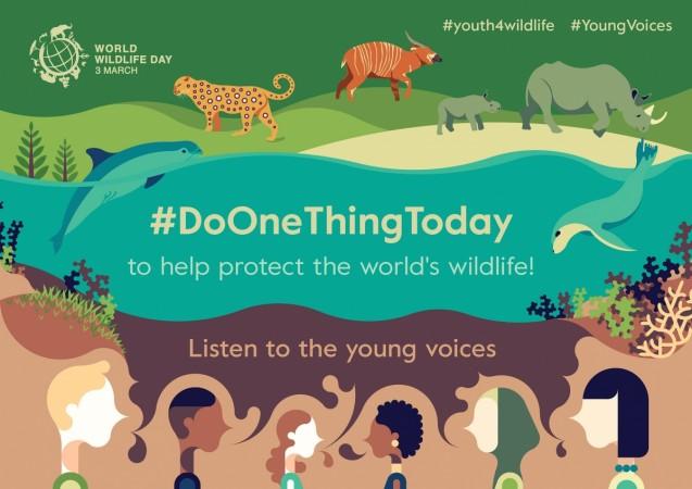 World Wildlife Day poster