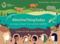 World Wildlife Day poster