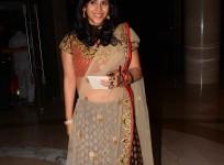 Guests at Mandana Karimi's wedding reception