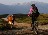 Women travelling