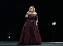Adele attacked by mosquito swarm at Brisbane concert
