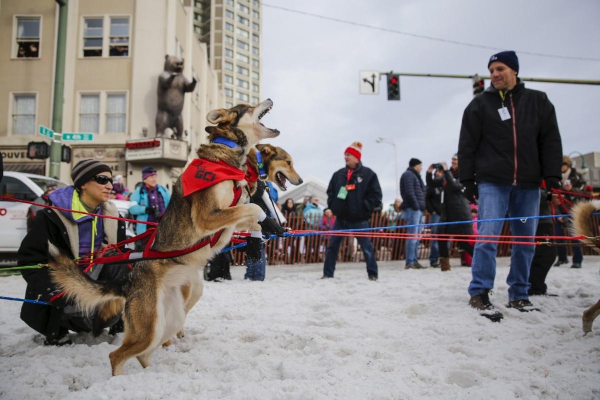 Iditarod Trail Sled Dog Race Iditarod, Iditarod 2017, Iditarod Trail Sled Dog Race, Iditarod Trail Sled Dog Race 2017, Iditarod pictures, Iditarod mushers, Iditarod dogs