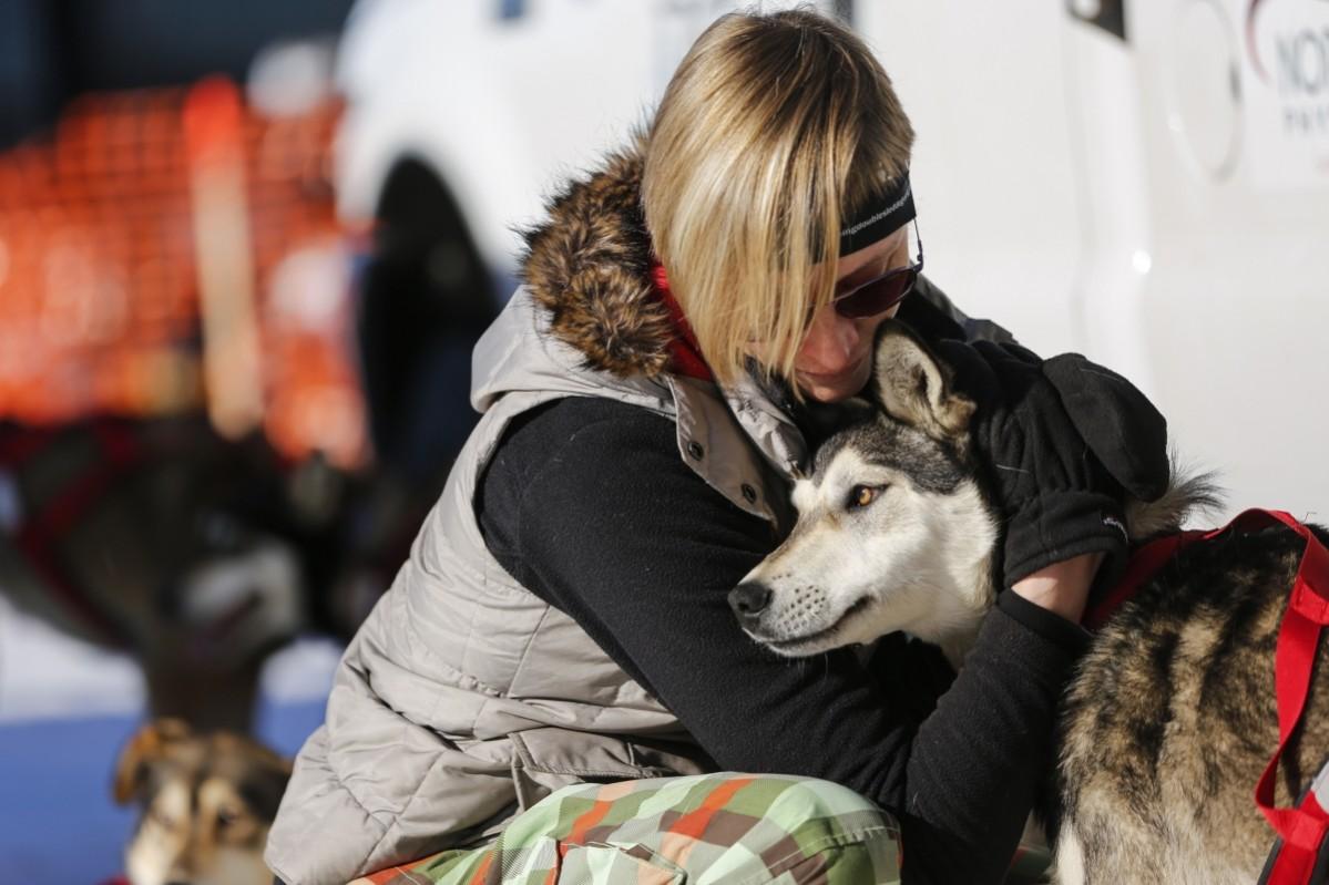 Iditarod Trail Sled Dog Race Iditarod, Iditarod 2017, Iditarod Trail Sled Dog Race, Iditarod Trail Sled Dog Race 2017, Iditarod pictures, Iditarod mushers, Iditarod dogs