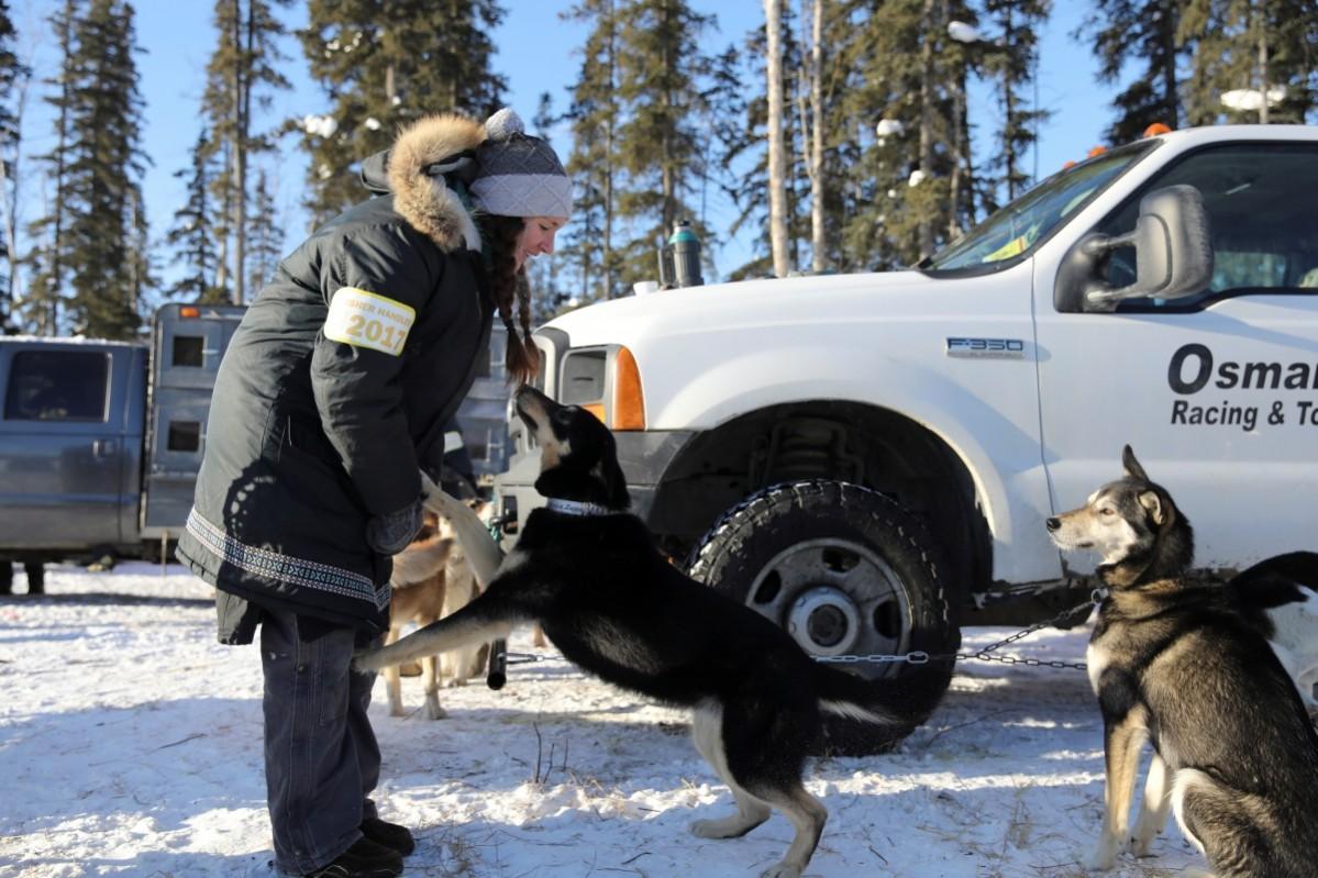 Iditarod Trail Sled Dog Race Iditarod, Iditarod 2017, Iditarod Trail Sled Dog Race, Iditarod Trail Sled Dog Race 2017, Iditarod pictures, Iditarod mushers, Iditarod dogs