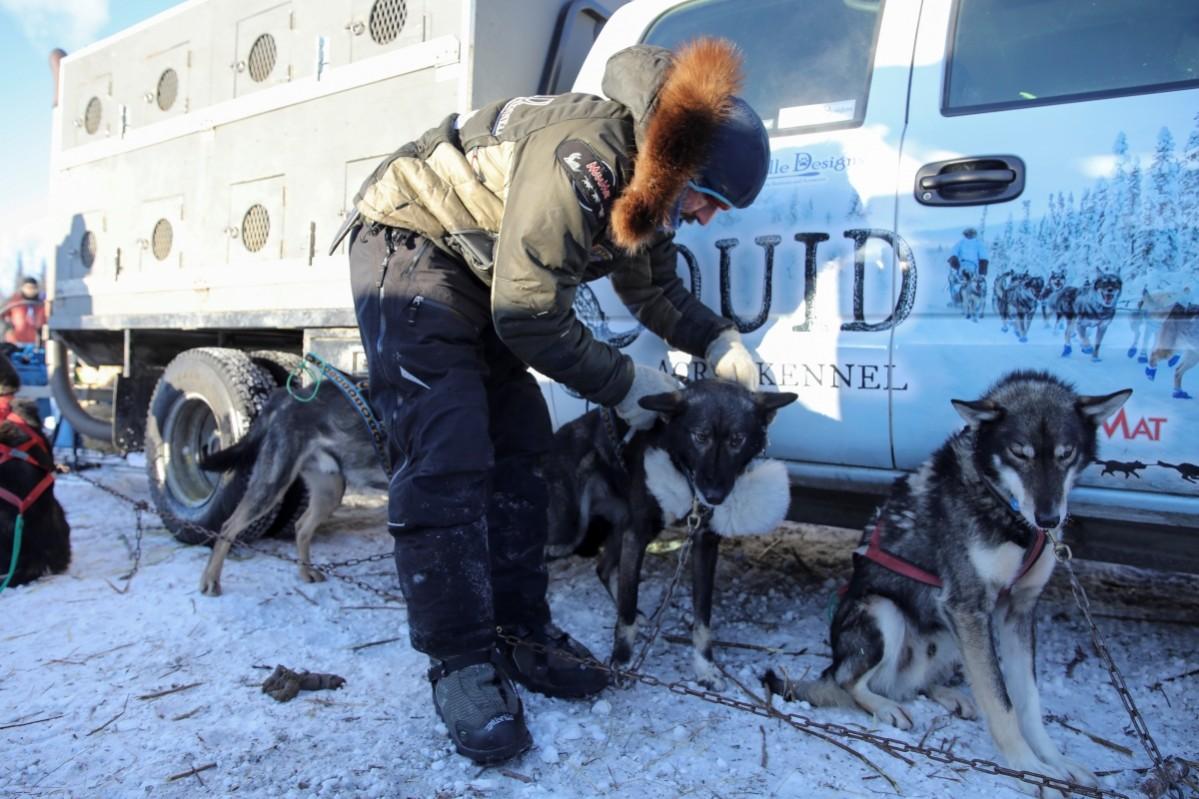 Iditarod Trail Sled Dog Race Iditarod, Iditarod 2017, Iditarod Trail Sled Dog Race, Iditarod Trail Sled Dog Race 2017, Iditarod pictures, Iditarod mushers, Iditarod dogs