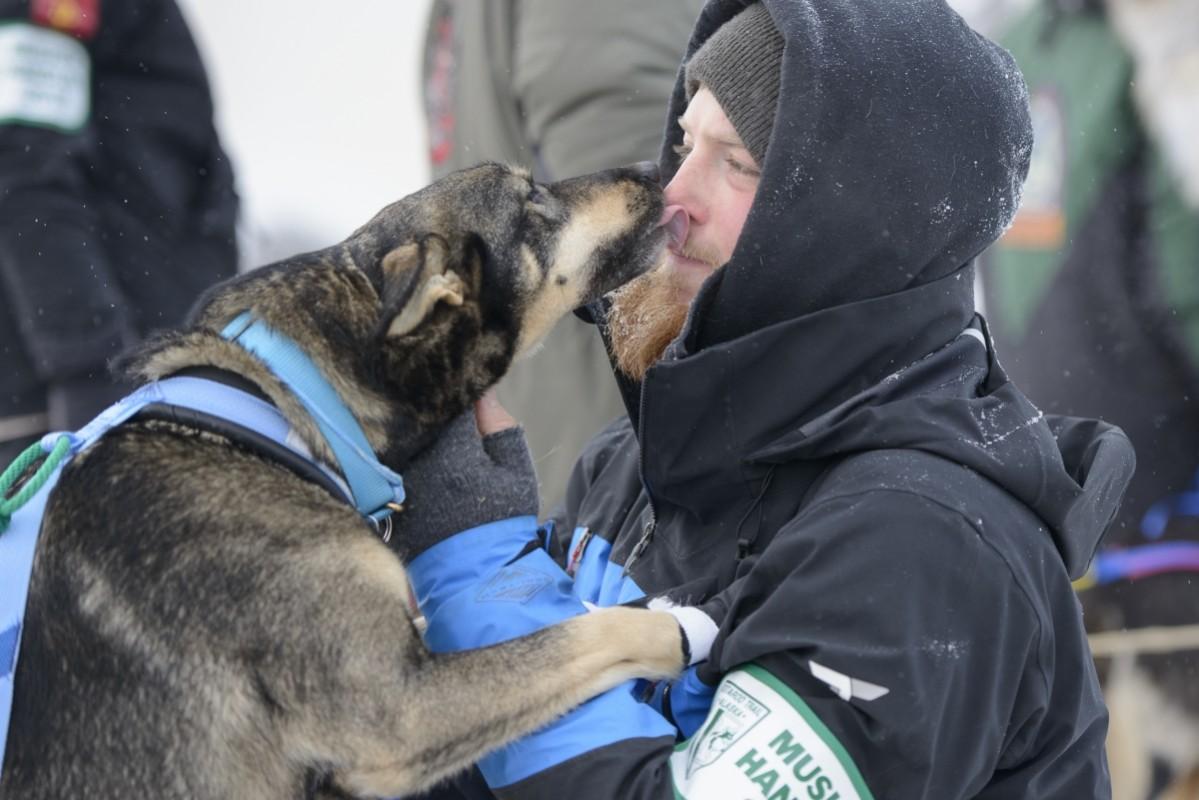 Iditarod Trail Sled Dog Race Iditarod, Iditarod 2017, Iditarod Trail Sled Dog Race, Iditarod Trail Sled Dog Race 2017, Iditarod pictures, Iditarod mushers, Iditarod dogs