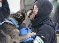 Iditarod, Iditarod 2017, Iditarod Trail Sled Dog Race, Iditarod Trail Sled Dog Race 2017, Iditarod pictures, Iditarod mushers, Iditarod dogs