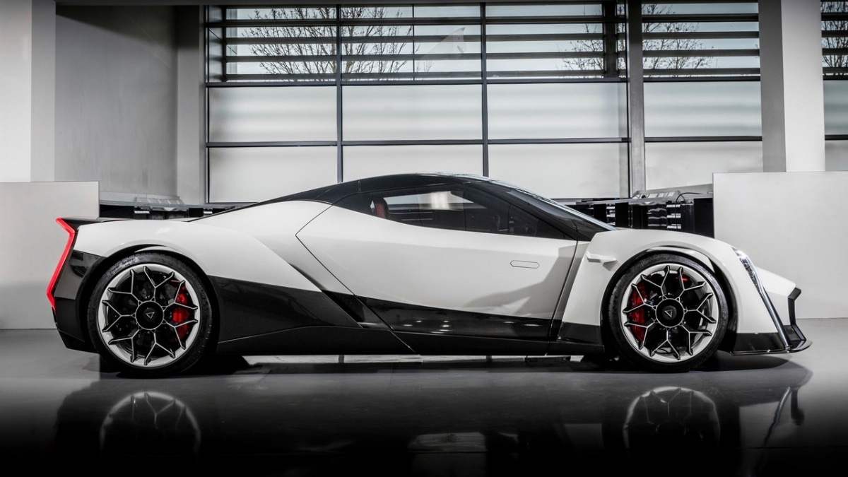 Vanda Dendrobium Vanda Dendrobium, Vanda Dendrobium Geneva, Vanda Dendrobium supercar