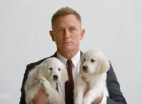 James Bond, puppies and an Aston Martin: Daniel Craig appears in latest Omaze campaign