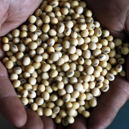 Soy consumption is found to reduce the risk of breast cancer death, a research revealed. soy, breast cancer, death, health, women,