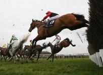 Cheltenham Festival, horse racing, Gold Cup, race schedule, National Hunt