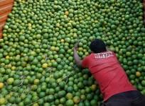 wholesale inflation for february, wpi february, wpi janary, wholesale inflation at record high, inflation in india, indian stock markets