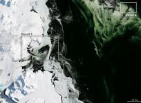 nasa, antarctica, space, environment, green ice, mystery,